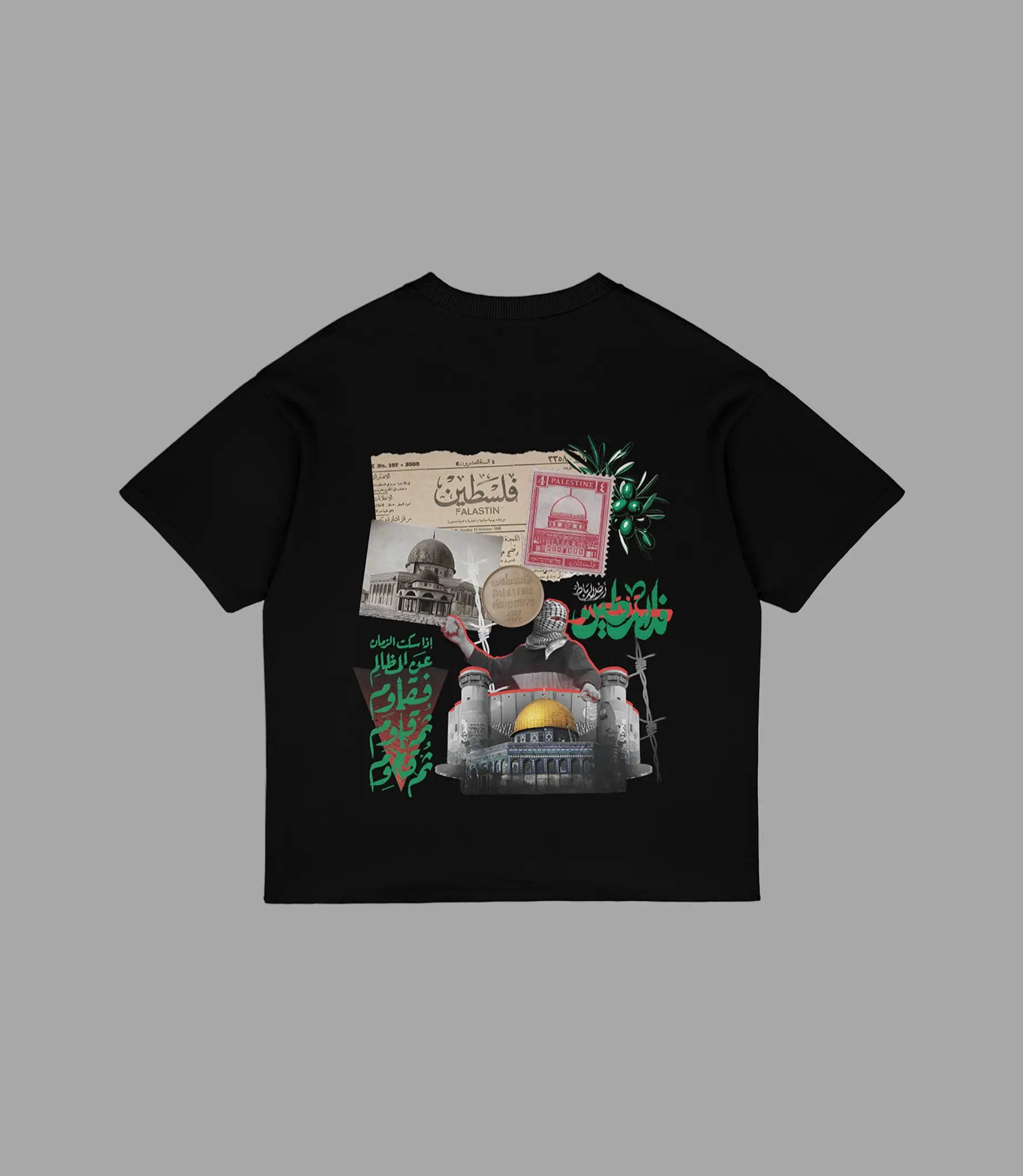 Oversized T-Shirt | Echoes of Palestine Vintage Tee