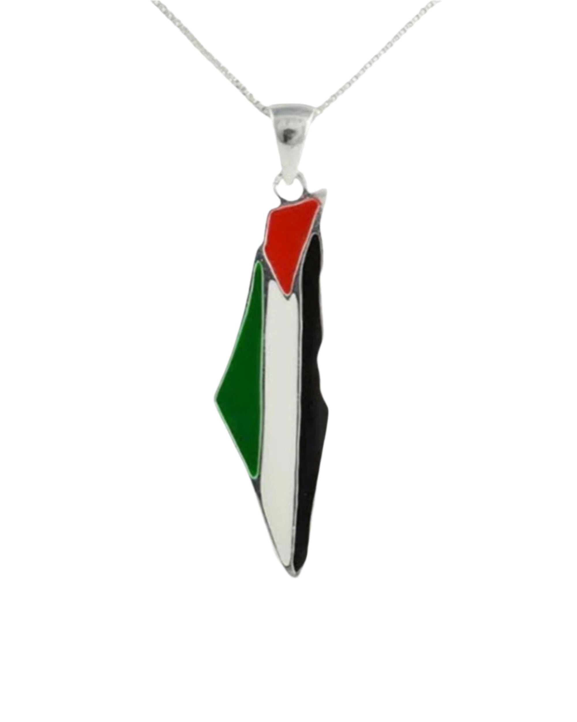 Palestine Flag Necklace - Colored Silver Pendant