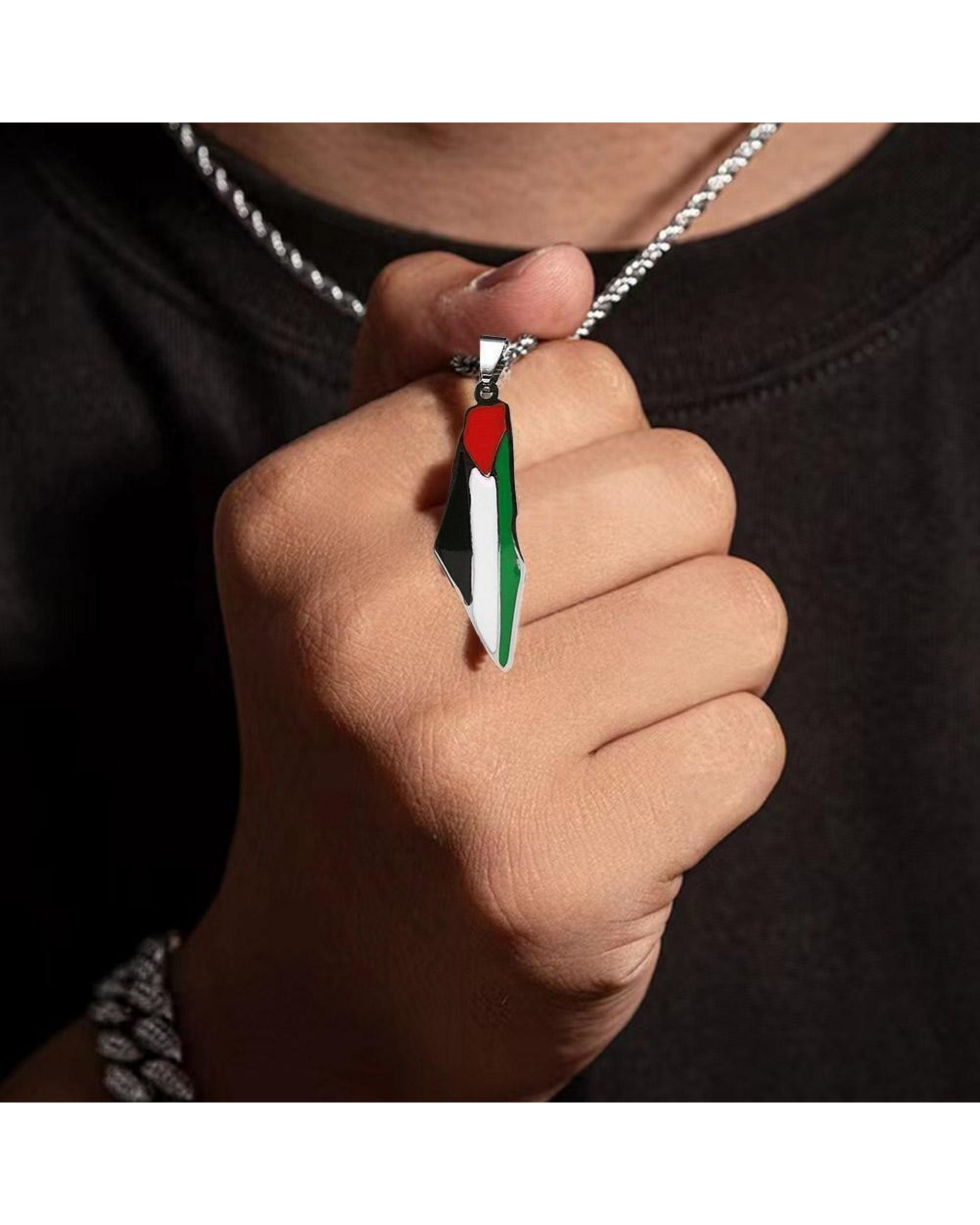 palestine flag Necklace – Colored Silver Pendant | Arabian Vibes