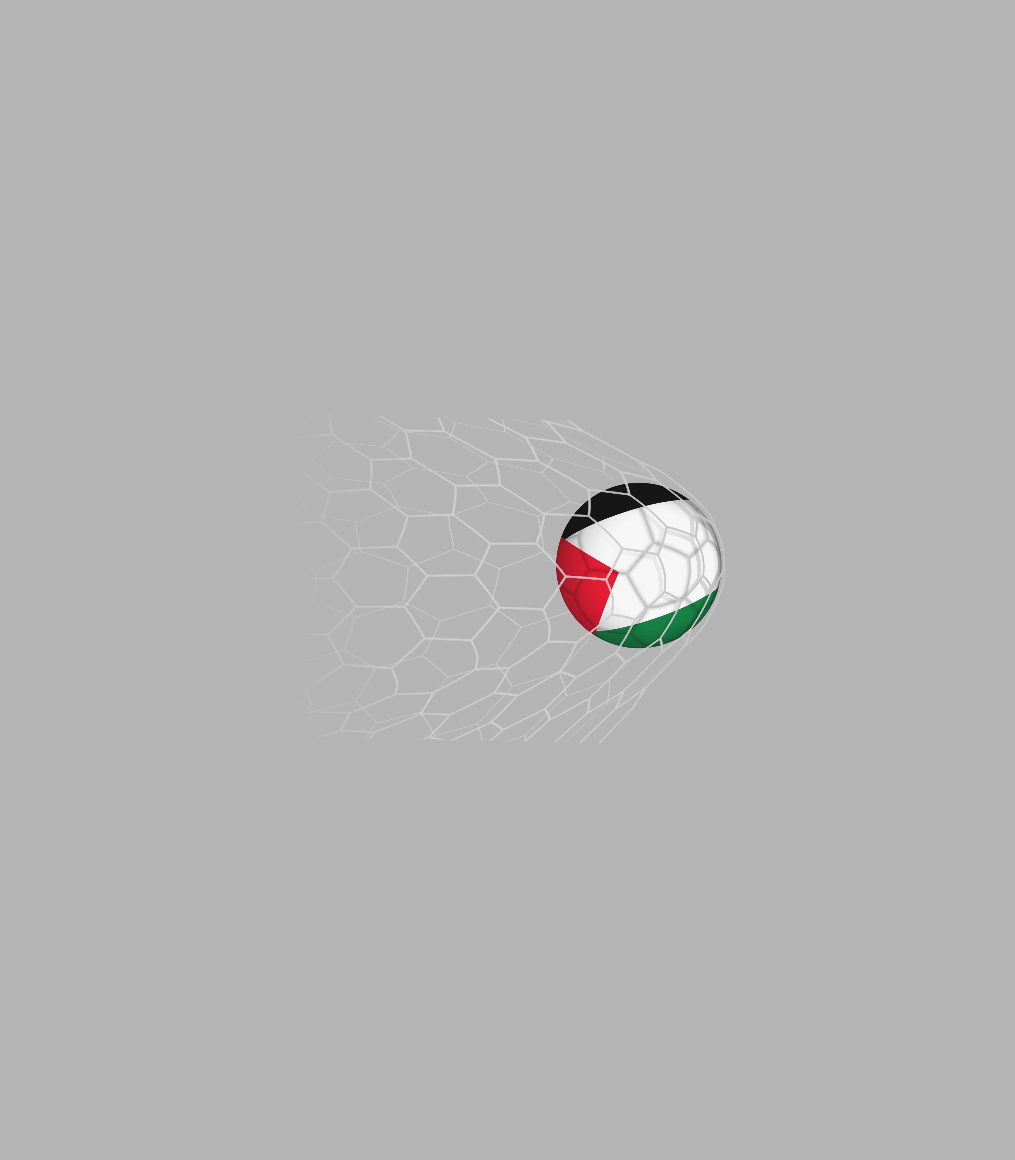 Palestine Football Sticker