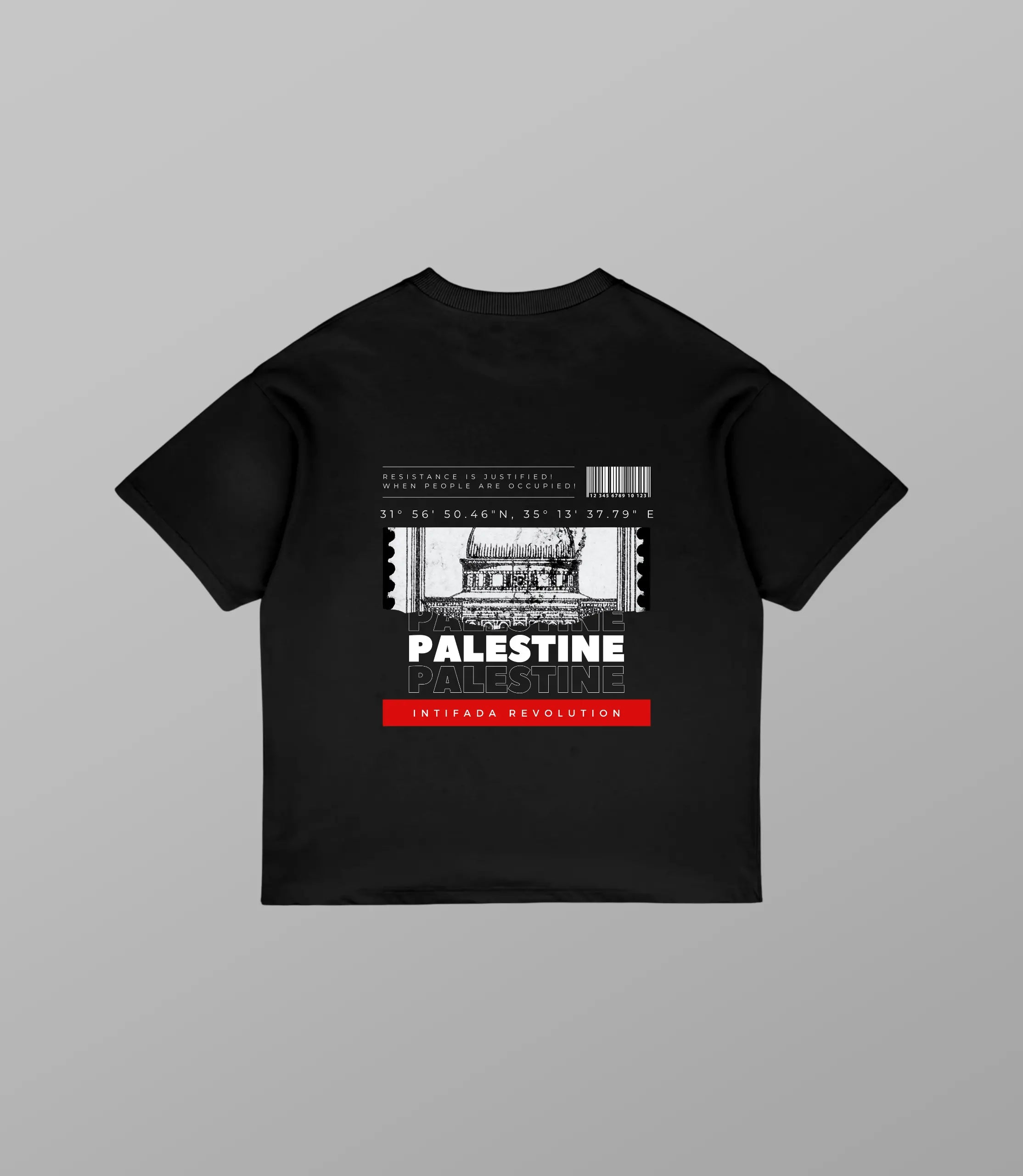 Palästina T-Shirt – Oversize Streetwear with Coordinates