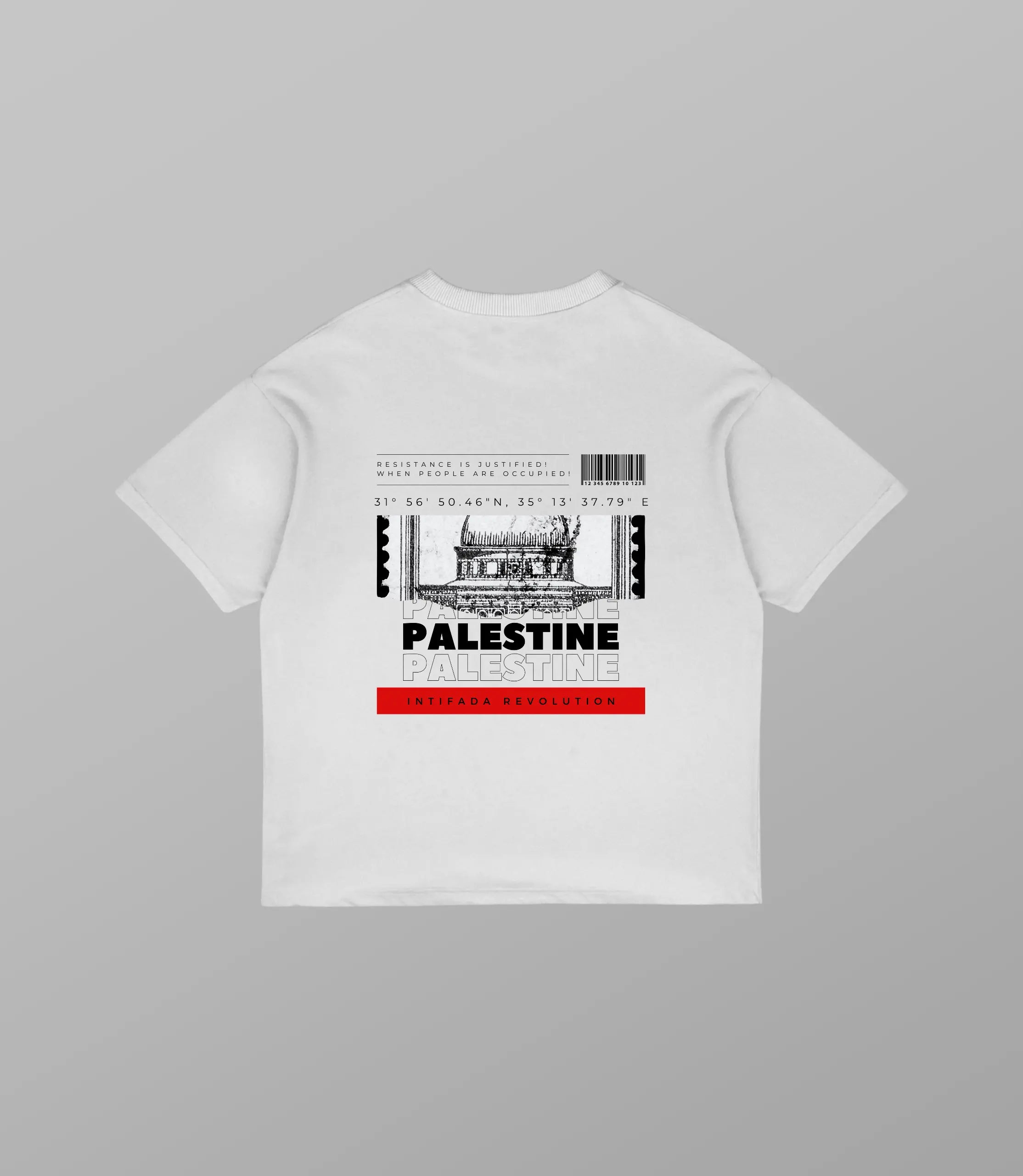 Palästina T-Shirt – Oversize Streetwear with Coordinates