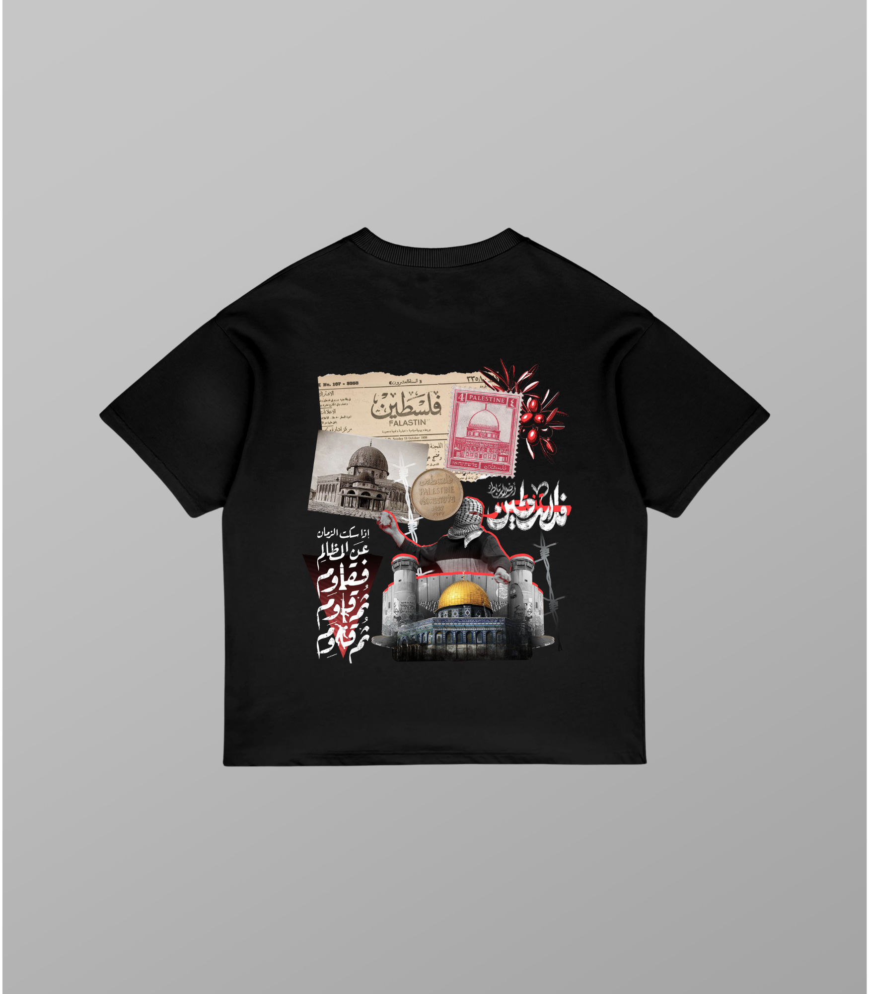 Echoes of Palestine oversized t-shirt