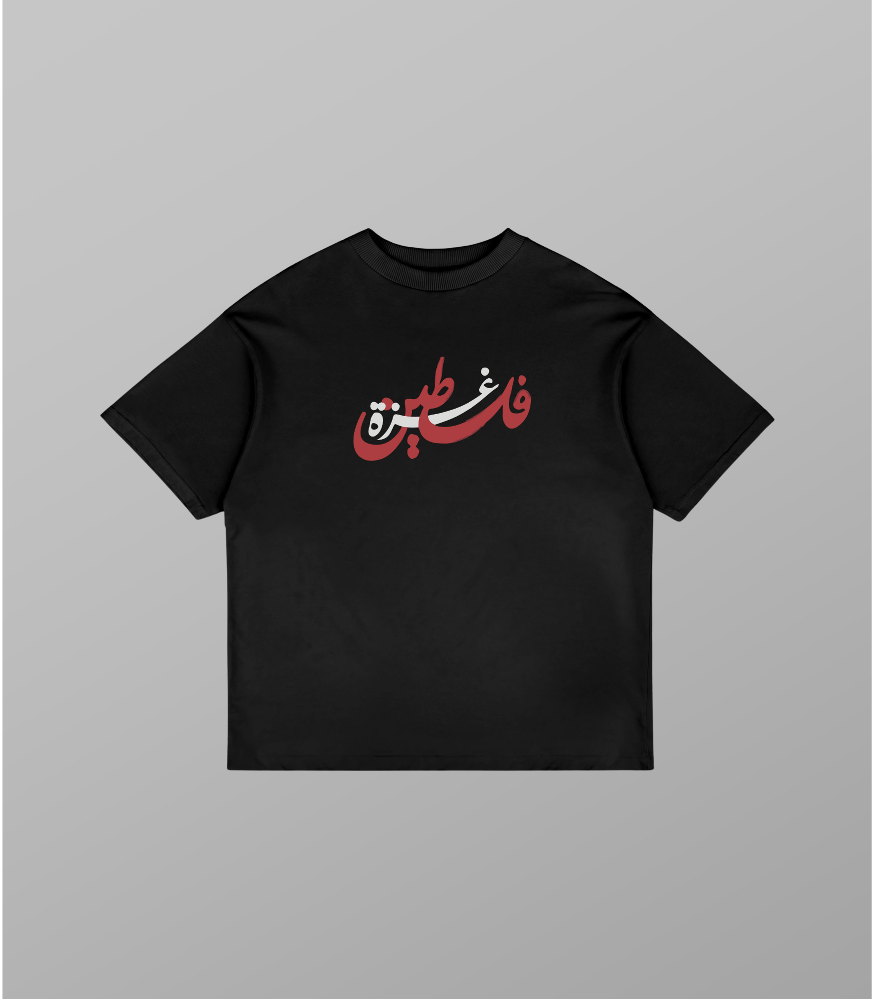 Echoes of Palestine oversized t-shirt