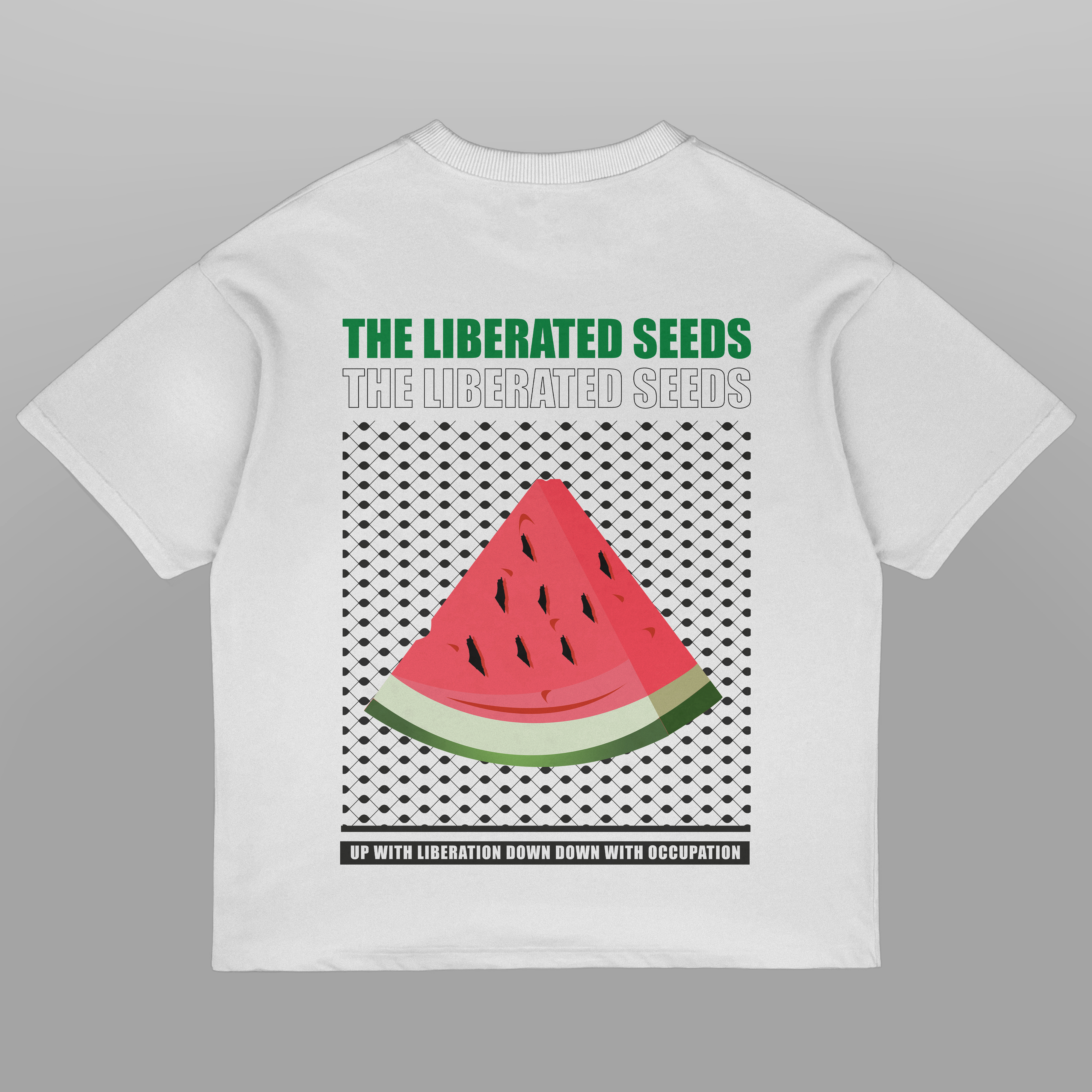 Freedom for Palestine Oversized T-Shirt | Liberty’s Call