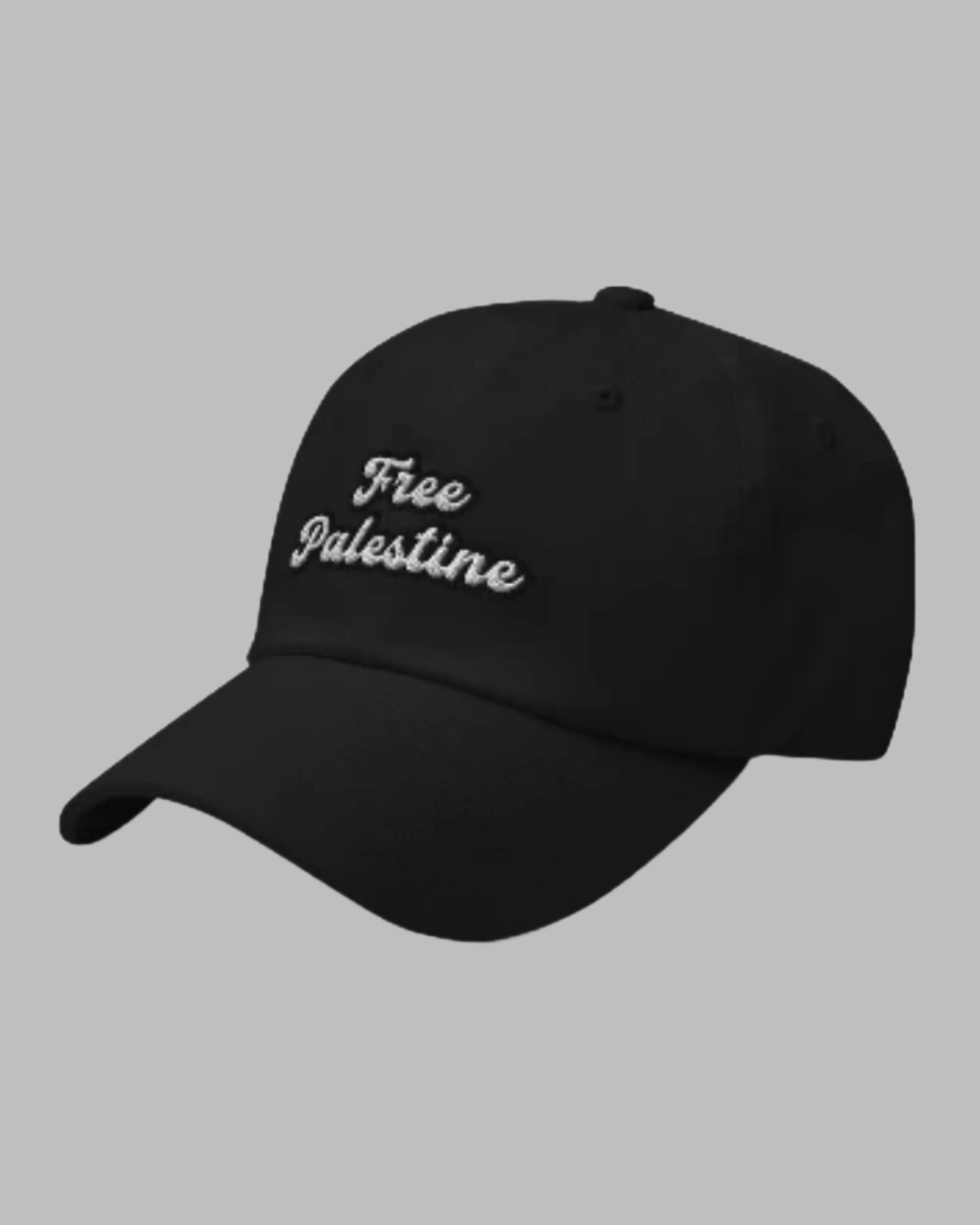 Free Palästina Hut 