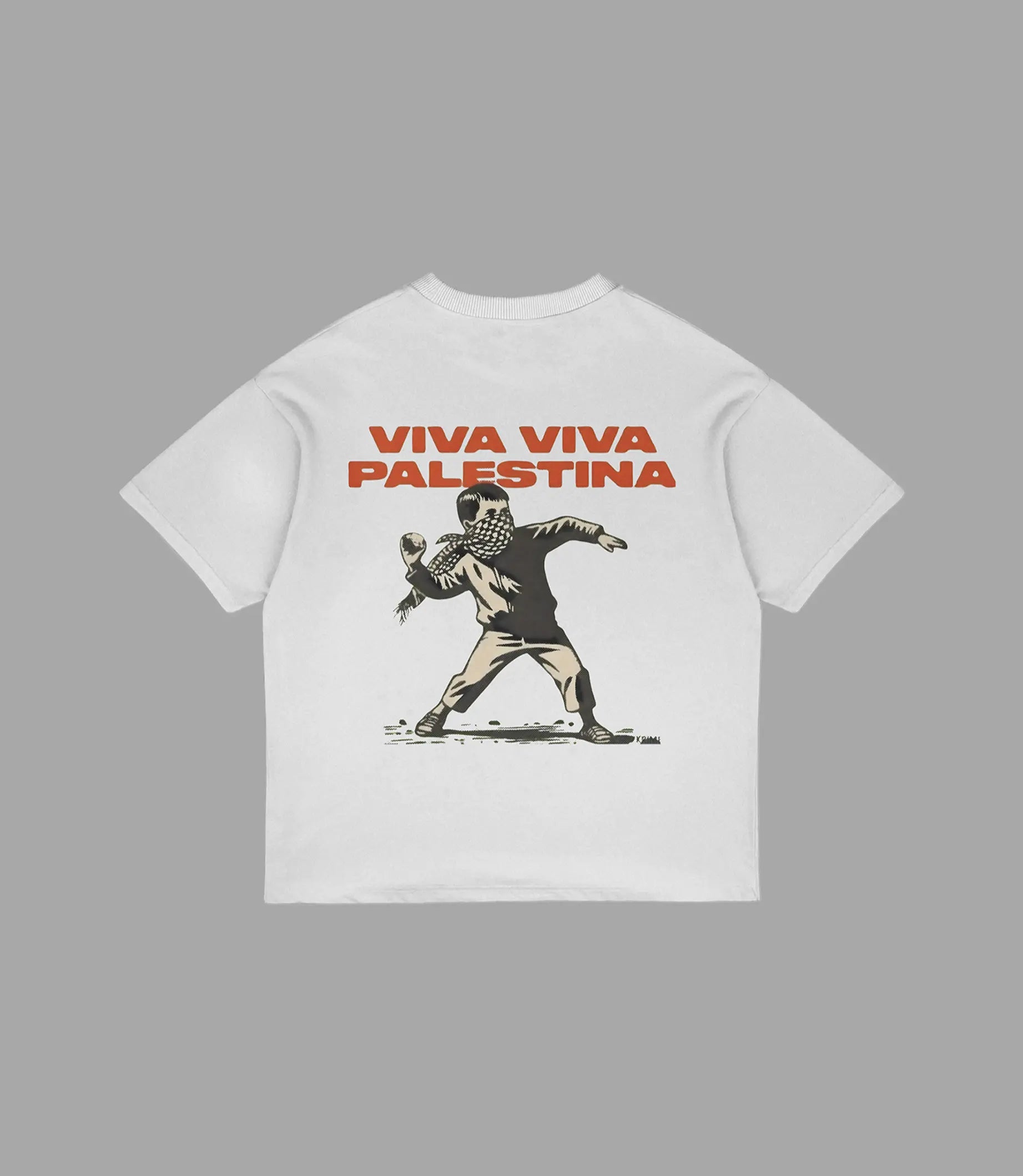 Viva Palestina Oversized T-Shirt | Arabian Vibes