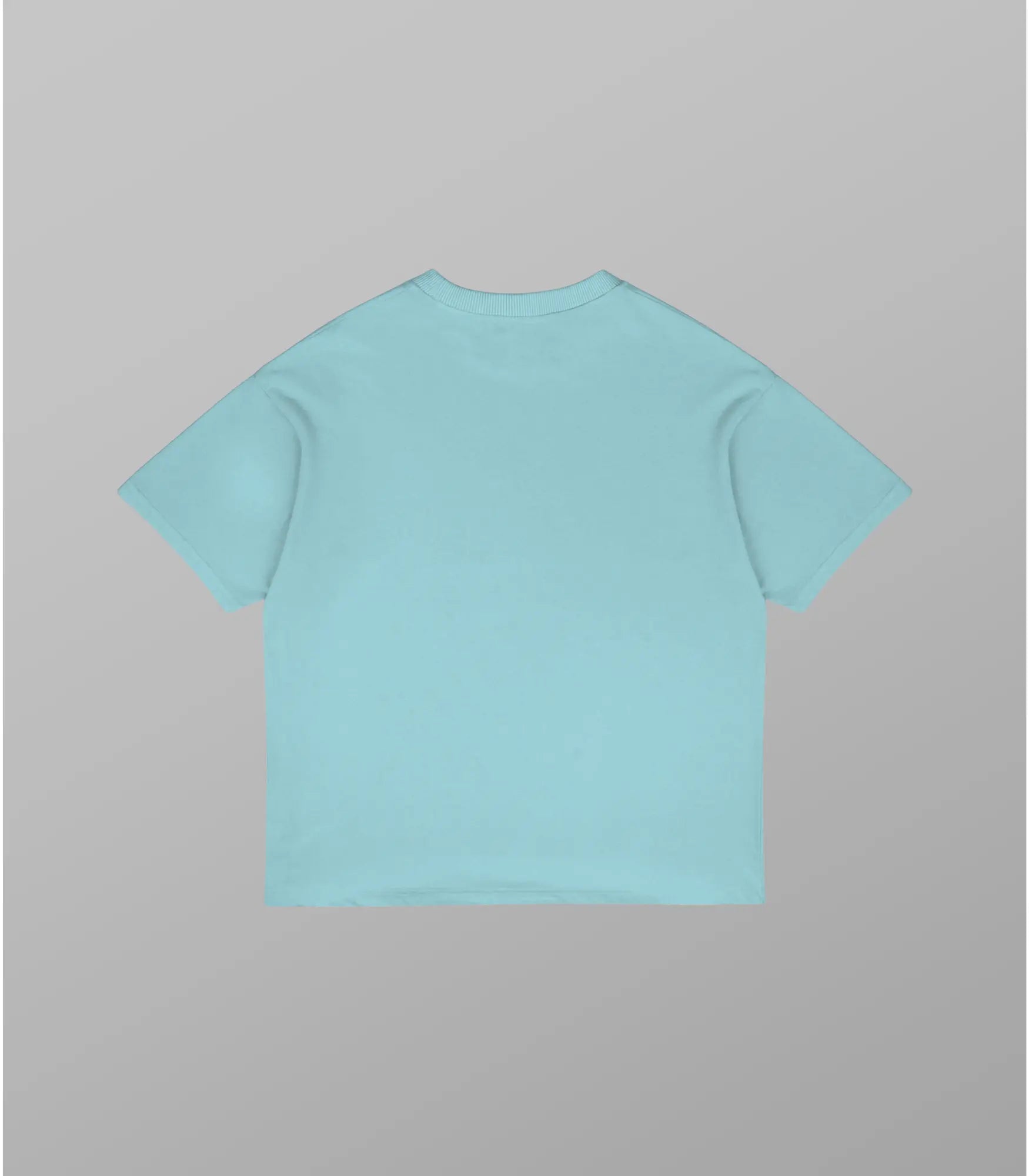 Tee T-Shirt – Not Just a Fruit Oversized
